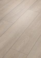 Shaw Floors Resilient Residential Pantheon HD Plus Cenere 05230_2001V