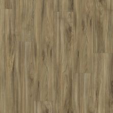 Shaw Builder Flooring Ashton Woods Homes Haynes Plus Whispering Wood 00405_A829S