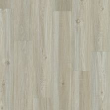 Shaw Builder Flooring Ashton Woods Homes Haynes Plus Washed Oak 00509_A829S