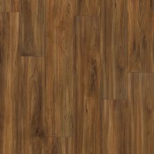 Shaw Builder Flooring Ashton Woods Homes Haynes Plus Burmese Teak 00604_A829S