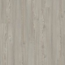 Shaw Floors Resilient Residential Anvil Plus Clean Pine 05077_2032V