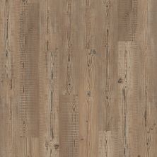 Shaw Floors Clayton Homes Augusta Accent Pine 07063_C172Y