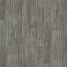 Shaw Floors Resilient Residential Zeus 12′ Ithaca 00505_2429V