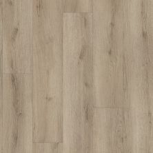 Shaw Floors Resilient Property Solutions Homeward Cashmere Grey 01191_2896V