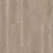 Shaw Floors Resilient Residential Paragon Hd+natural Bevel Wisteria 05140_3038V