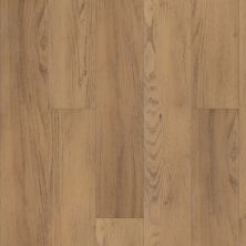 Shaw Floors Resilient Property Solutions Resolutehd+natural Bevel Franklin 06021_VE443