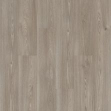 Shaw Floors Resilient Residential Praxis Plank Muse 05139_3039V
