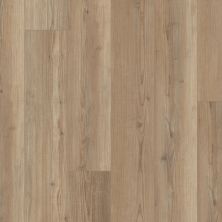 Shaw Floors Resilient Residential Starting Line Antique Copper 06044_3060V