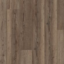 Shaw Floors Resilient Residential Starting Line Weathered Brown 07316_3060V