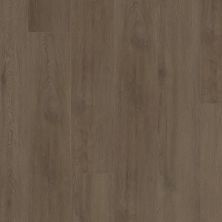 Shaw Floors Resilient Residential Starting Line Stormy Espresso 07318_3060V