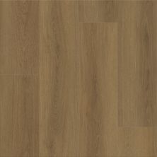 Shaw Floors Resilient Residential Dwell Rich Cocoa 07328_3080V