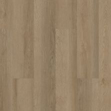 Shaw Floors Resilient Residential Infinite Spc Grand Canyon 02027_3100V