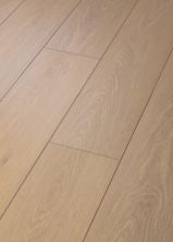 Shaw Floors Resilient Residential Distinction Plus Timeless Oak 00693_2045V