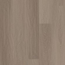 Shaw Floors Resilient Residential Distinction Plus Executive Oak 05079_2045V