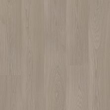 Shaw Floors Resilient Residential Distinction Plus Earthy Taupe 05228_2045V