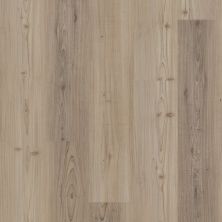 Shaw Floors Resilient Residential Distinction Plus Light Pine 07064_2045V