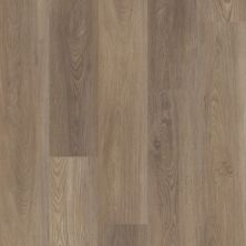 Shaw Floors Resilient Residential Distinction Plus Ash Oak 07065_2045V