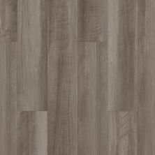 Shaw Floors Resilient Residential Paladin Plus Oyster Oak 00591_0278V