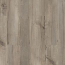 Shaw Floors Resilient Residential Paladin Plus Sea Glass 05092_0278V
