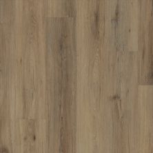 Shaw Floors Resilient Residential Paladin Plus Wild Dunes 07089_0278V