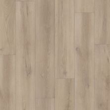 Shaw Floors Resilient Residential Aspire Natural Bevel Mineral Grey 01189_3381V