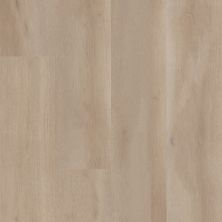 Shaw Floors Resilient Residential Aspire Natural Bevel Coastal Drift 02108_3381V