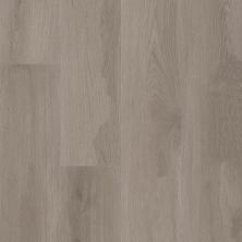 Shaw Floors Resilient Residential Aspire Natural Bevel Summit Grey 05236_3381V