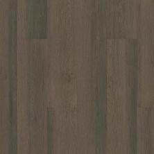 Shaw Floors Resilient Property Solutions Limitless 8 Boheme Brown 07099_333MF