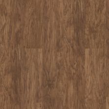 Shaw Floors Resilient Residential Sumter Plus Spice Box 00355_0225V