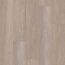 Shaw Floors Resilient Property Solutions Brio Plus 20 Mil Greige Walnut 05078_VE429