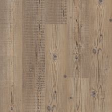 Shaw Floors 5th And Main Setup Accent Pine 07063_5M402