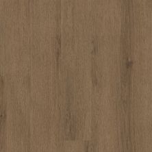 Philadelphia Commercial Resilient Commercial Indwell II 20 Sepia Brown 07313_5723V