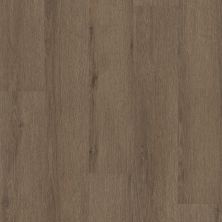 Philadelphia Commercial Resilient Commercial Indwell II 20 Autumn Brown 07314_5723V