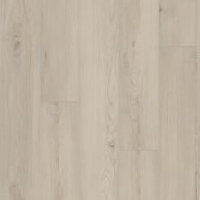Shaw Floors Resilient Residential AMBITION Silk 01216_3425V