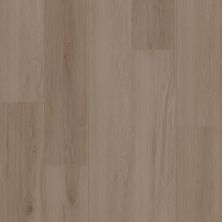 Shaw Floors Resilient Residential AMBITION Mushroom 05255_3425V