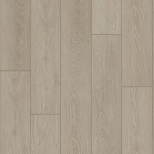 Shaw Floors Resilient Residential AMBITION Feather Grey 05256_3425V