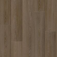 Shaw Floors Resilient Residential AMBITION Espresso 07350_3425V