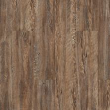 Shaw Floors Resilient Residential Prime Plank Tattered Barnboard 00717_0616V
