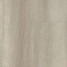 Shaw Floors Cl Colortile Rigid Core Plank And Tile Aspire Tile Ash 01008_CV197
