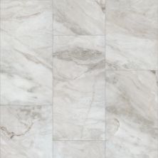 Shaw Floors Aspire Tile Catalina 01109_CV197