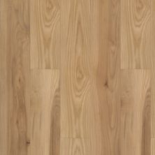 Shaw Floors Carpets Plus Resilient Aspire HD Plus Natural Bevel Mansart 06020_CV212