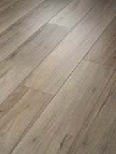 Shaw Builder Flooring Resilient Property Solutions Polaris Plus Driftwood 01056_VE433
