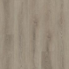 Shaw Floors Resilient Residential Paladin Plus Toasted Taupe 05218_0278V