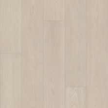 Shaw Floors Resilient Residential Ascent Nb Tundra 01135_2832V