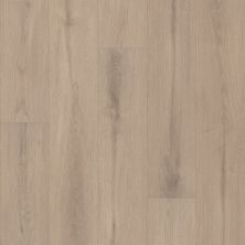 Shaw Floors Resilient Residential Ascent Nb Journal 05179_2832V