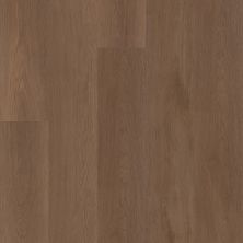 Shaw Floors Resilient Residential Ascent Nb Legend 06030_2832V
