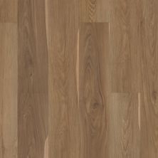 Shaw Floors Resilient Residential Pantheon Hd+ Natural Bevel Olive Tree 06013_1051V