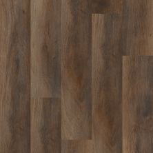 Shaw Floors Resilient Residential Anvil Plus 20 Mil Highlight Oak 07061_2357V