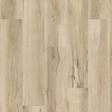 Shaw Floors Resilient Property Solutions Brio Plus Mineral Maple 00297_VE285