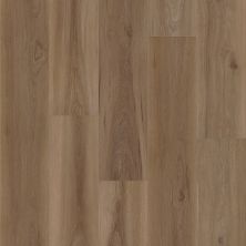 Shaw Floors Resilient Residential Fresh Take Windsor Brown 07347_3415V